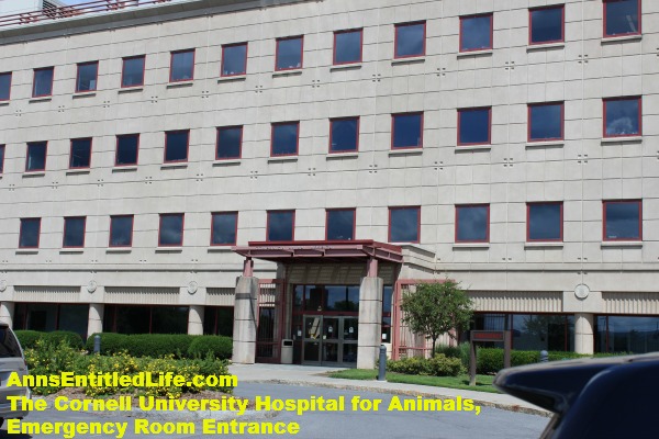 The Cornell University Hospital for Animals Emergency Room Entrance