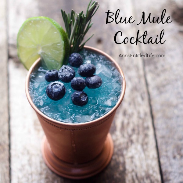 Blue Mule Cocktail Recipe