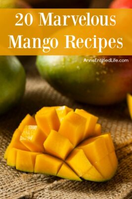 20 Marvelous Mango Recipes