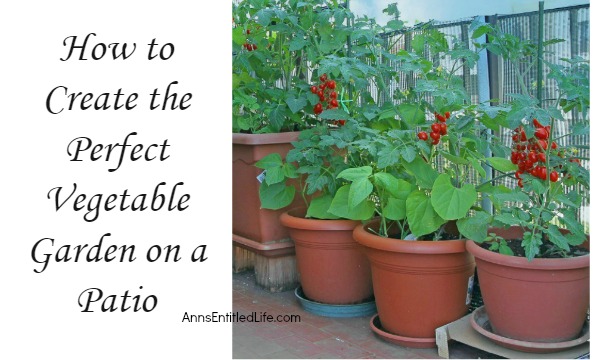 Create a Patio Vegetable Garden