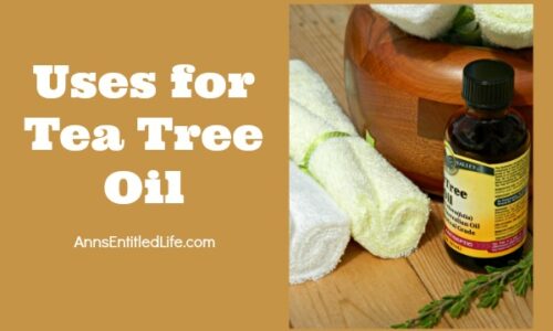 The Many Uses Of Tea Tree Oil   Uses For Tea Tree Oil Horizontal 500x300 