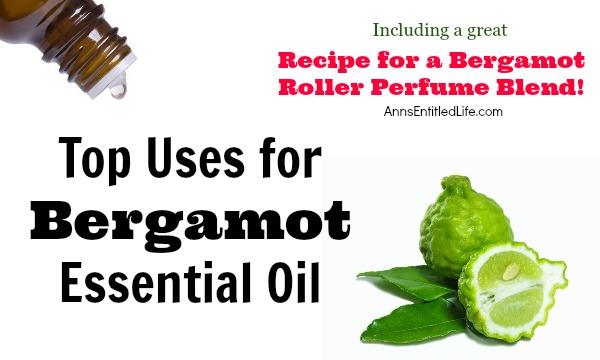 Bergamot Essential Oil, Uses, Benefits & Blends