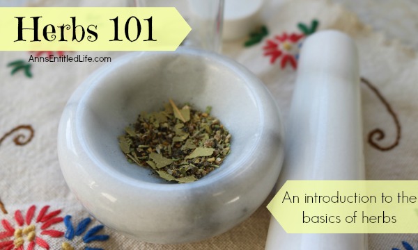 Herbs 101