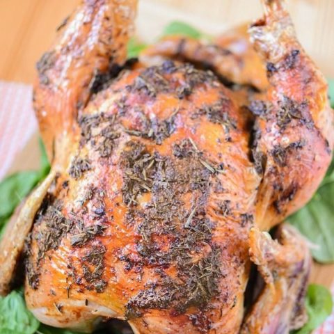 https://www.annsentitledlife.com/wp-content/uploads/2018/09/easy-oven-roasted-turkey-recipe-vertical-480x480.jpg