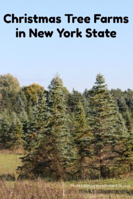 Christmas Tree Farms In New York State