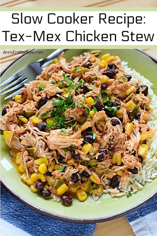 Slow Cooker Recipe TexMex Chicken Stew