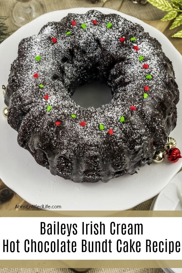 Baileys Irish Cream Hot Chocolate Bundt Cake Recipe Ann S Entitled Life