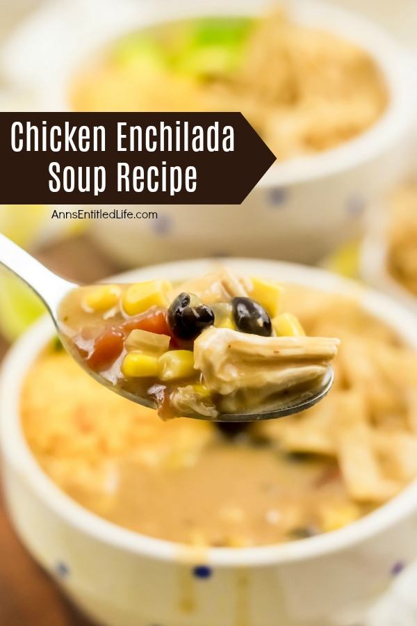 Chicken Enchilada Soup {Quick & Easy!} –