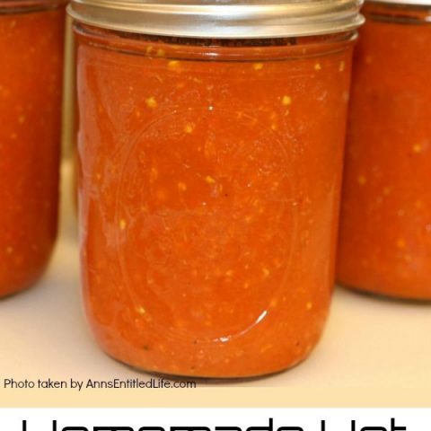 hot salsa recipe for canning