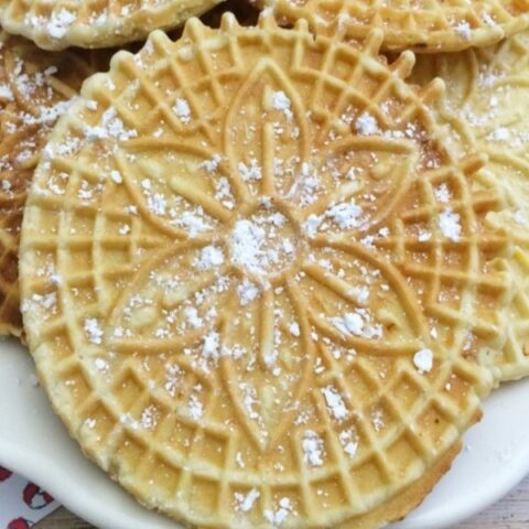 https://www.annsentitledlife.com/wp-content/uploads/2020/12/pizzelle-recipe-vertical-03-480x480.jpg