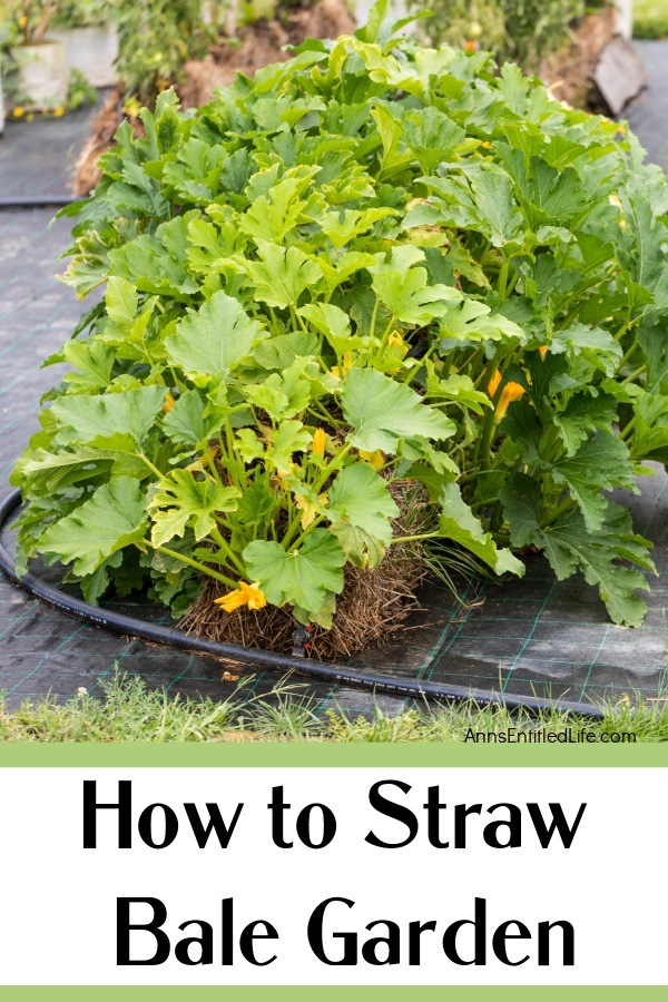 How To Straw Bale Garden