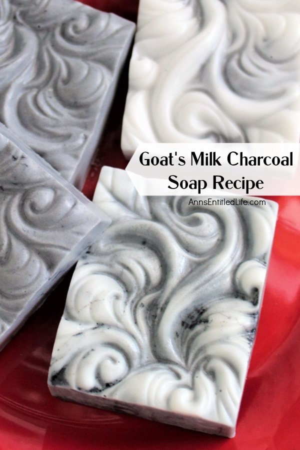 Up-close image of 4 bars of goat's milk charcoal soap on a red plate