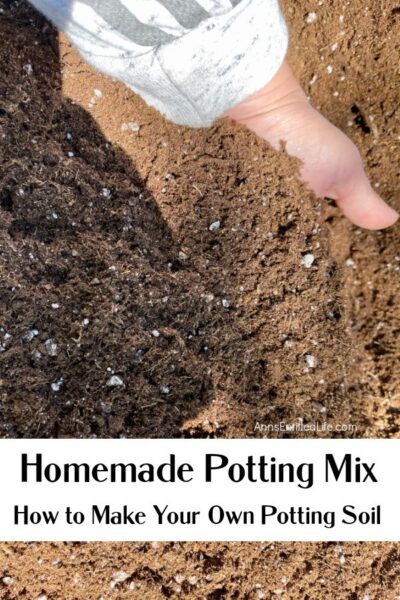 Homemade Potting Mix | How to Make Your Own Potting Soil