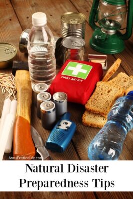 Natural Disaster Preparedness Tips