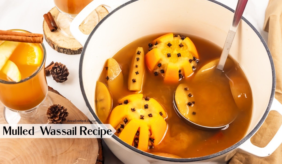 https://www.annsentitledlife.com/wp-content/uploads/2021/10/mulled-wassail-recipe-photo.jpg