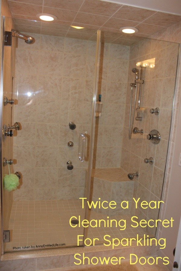tips to not clean your shower door  Shower cleaner, Clean shower doors, Glass  shower doors