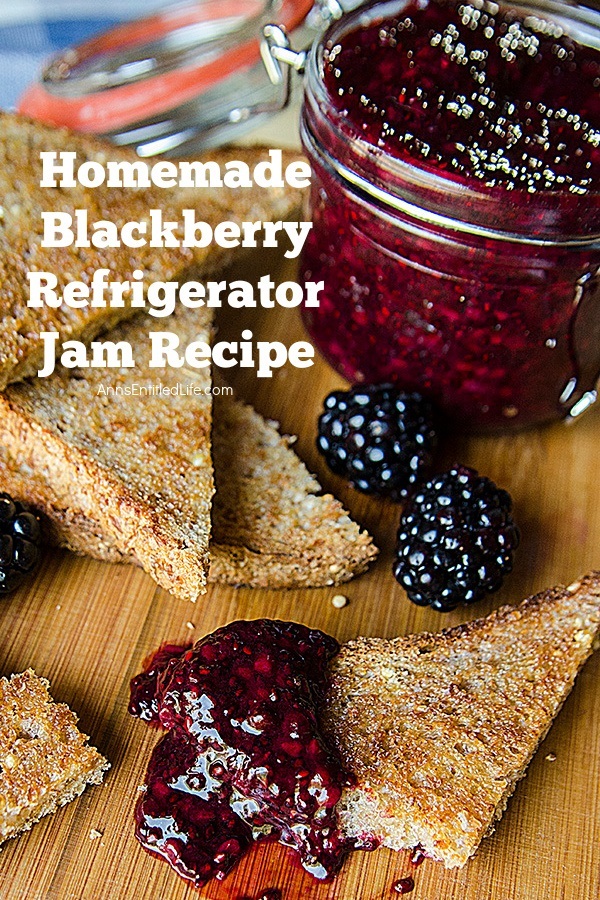 https://www.annsentitledlife.com/wp-content/uploads/2023/03/homemade-blackberry-refrigerator-jam-recipe-vertical-01.jpg