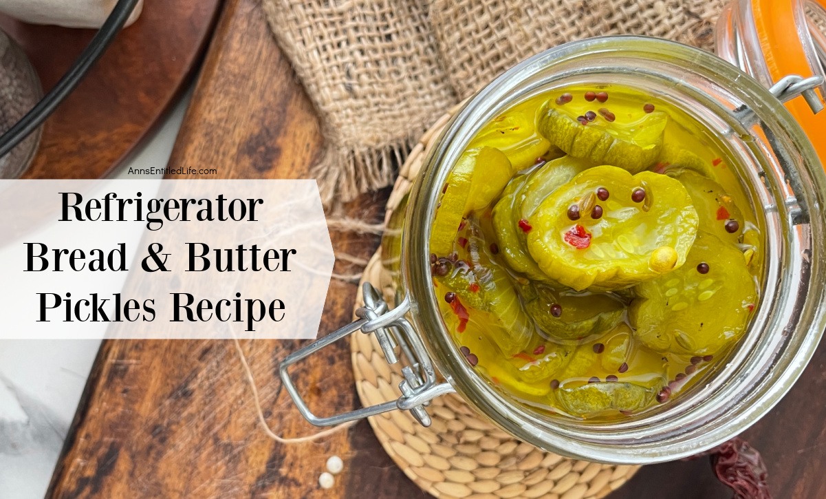 Refrigerator Bread And Butter Pickles Recipe | Easy & Quick