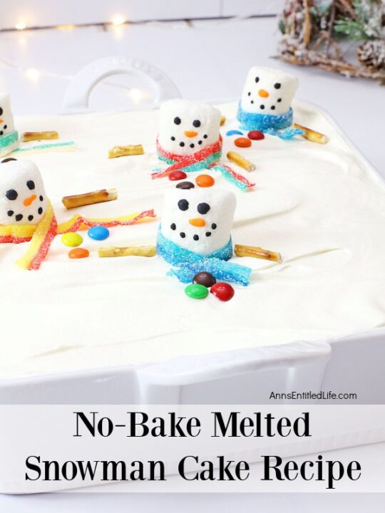 Snowman Hemisphere Cake Recipe