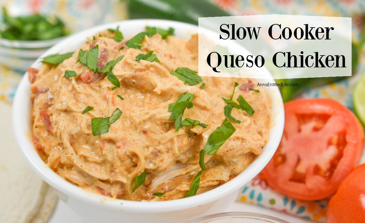 Slow Cooker Queso Chicken Dip