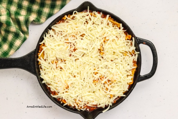 Best Easy Lasagna in a Skillet Pan Recipe. Try this easy skillet lasagna recipe for a quick, one-pan dinner. Made with simple ingredients, it is a family-friendly meal ready in about 30 minutes!